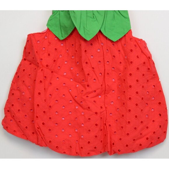 2013 Gymboree Strawberry Sweetheart 2 pc Outfit 3T Bubble Short Shorts Tank Top - Picture 4 of 11